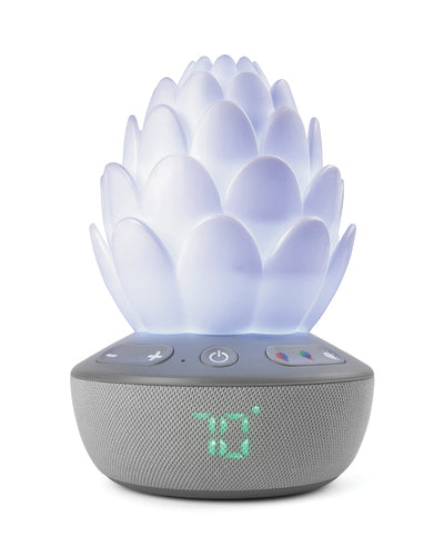 Skip Hop Succulent Nattlampa med gråtsensor