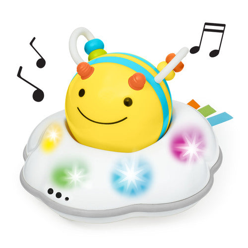 Skip Hop Explore & More Krypleksak "Bi"