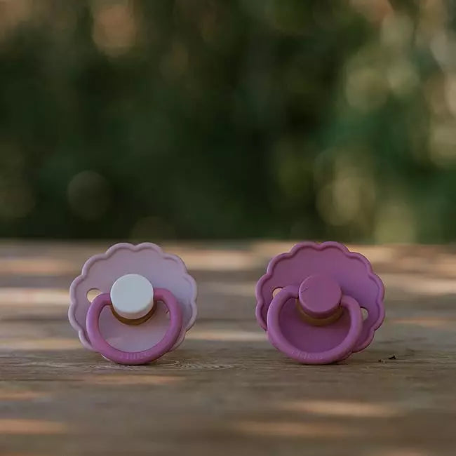FRIGG Daisy Latexnapp 2-pack – Pion & Vinröd