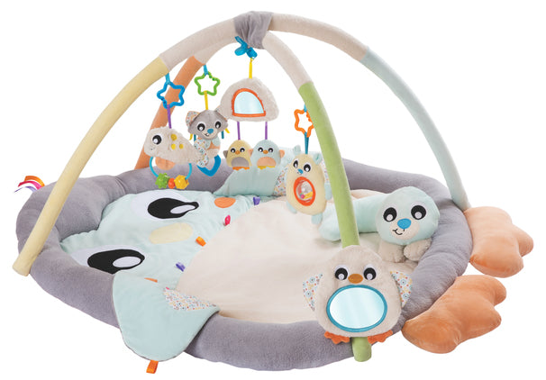 Playgro Snuggle Me Penguin Tummy Time Gym 0m+